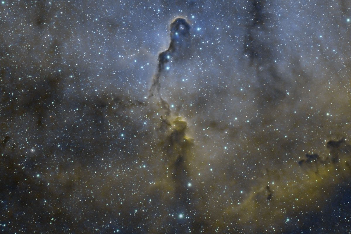 Nebulas - Elephant Trunks